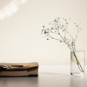 Coaching Psychotherapie Energiemedizin