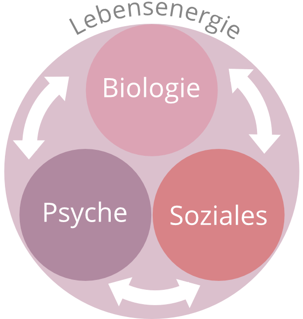 Biologie Psyche Soziales